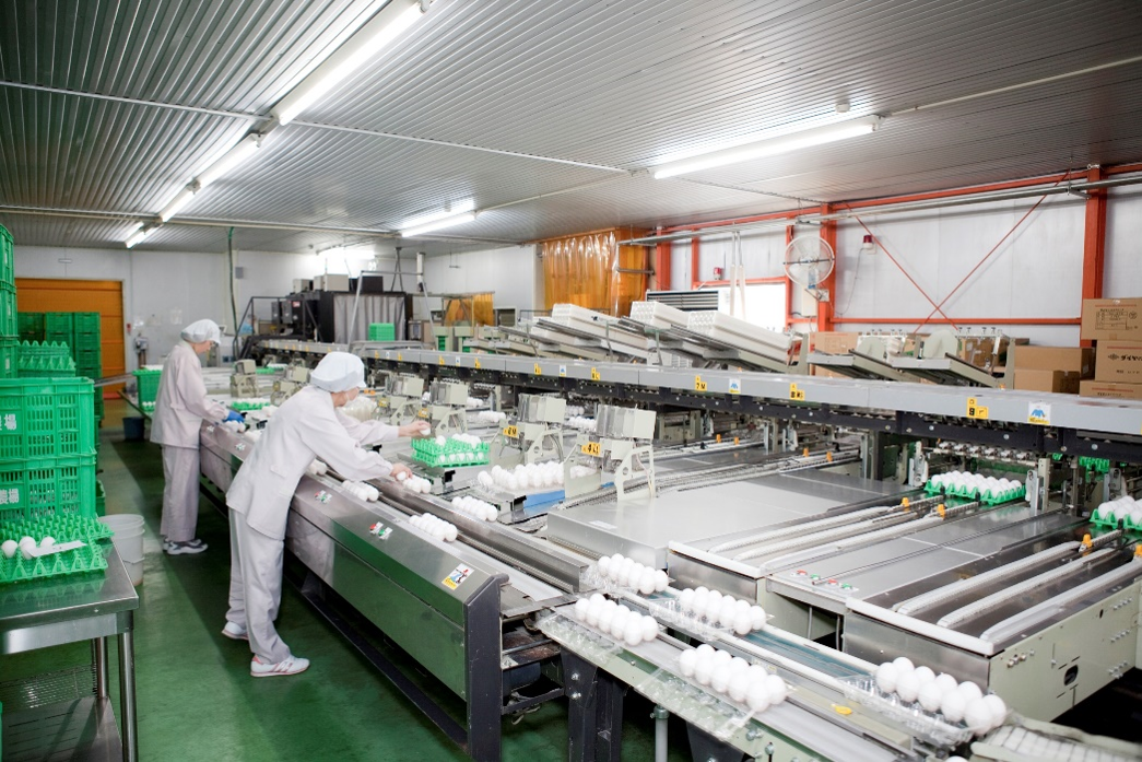食品工場における作業状況の安全監視のサムネイル